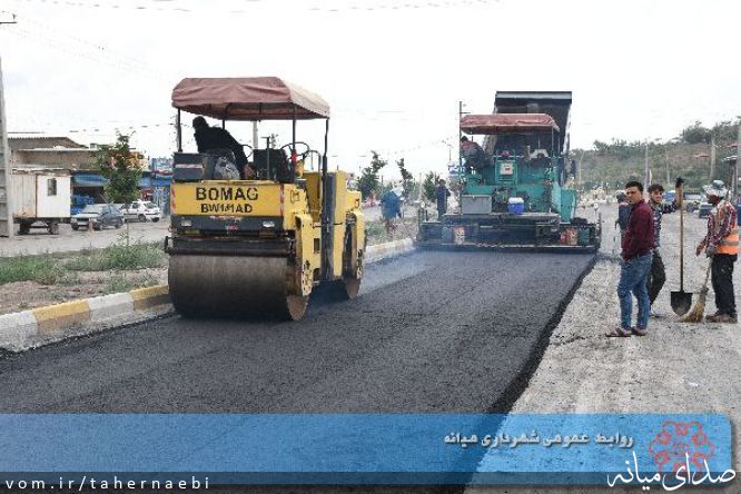 تصویر طاهر نائبی
