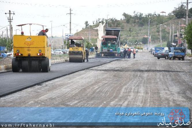 تصویر طاهر نائبی