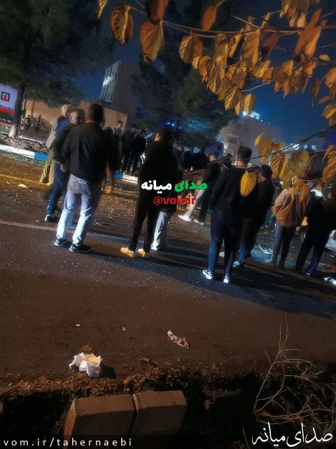 تصویر طاهر نائبی