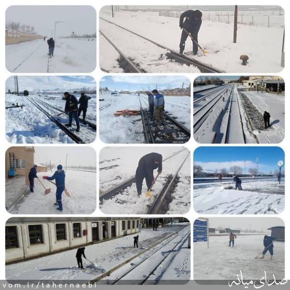 تصویر طاهر نائبی
