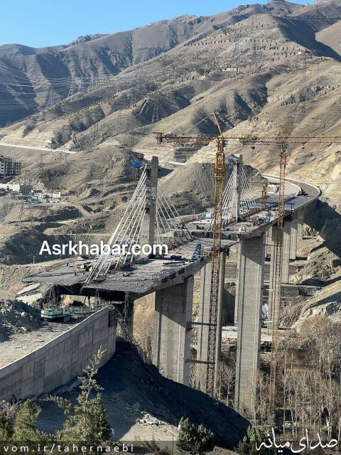 تصویر طاهر نائبی