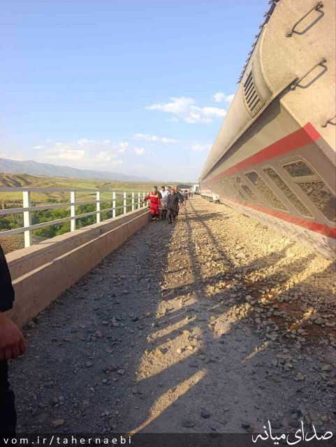 تصویر طاهر نائبی