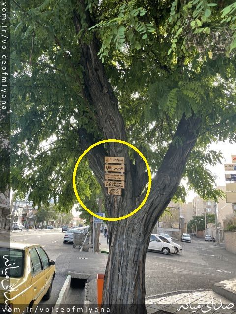 تصویر صدای میانه