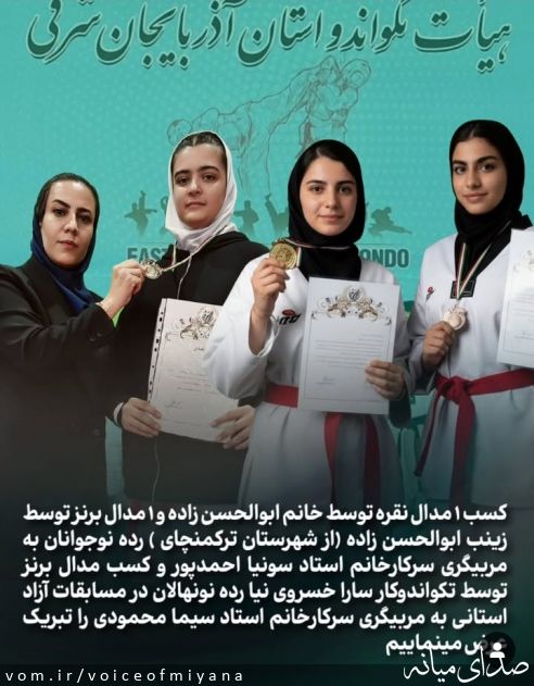 تصویر صدای میانه