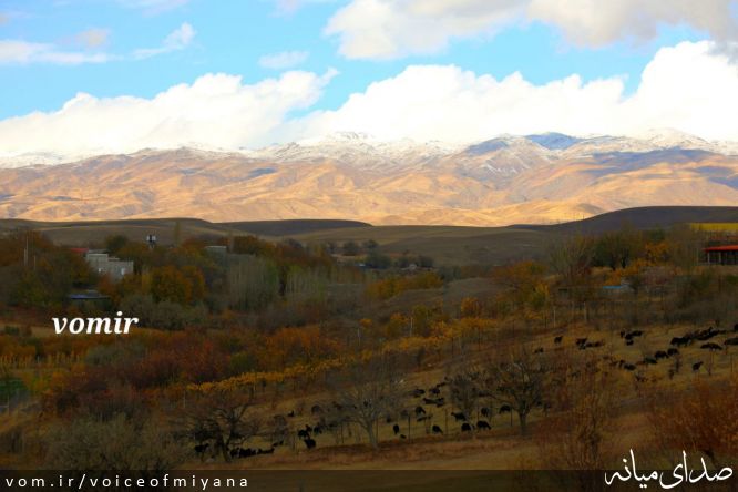 تصویر صدای میانه