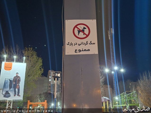 تصویر صدای میانه
