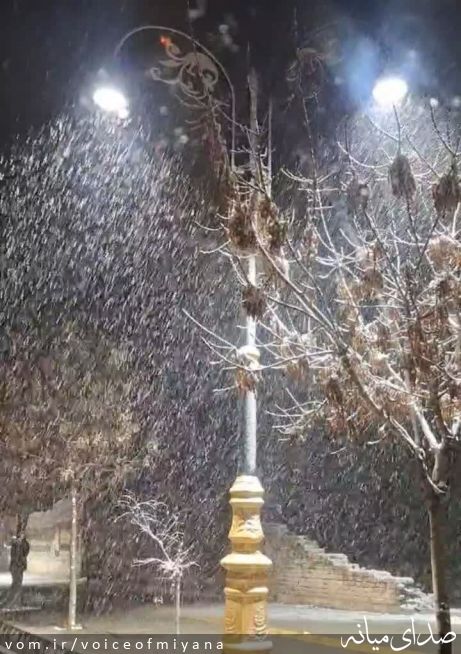 تصویر صدای میانه