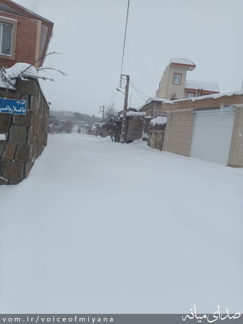 تصویر صدای میانه