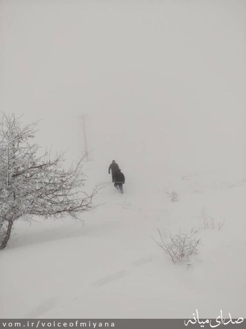 تصویر صدای میانه