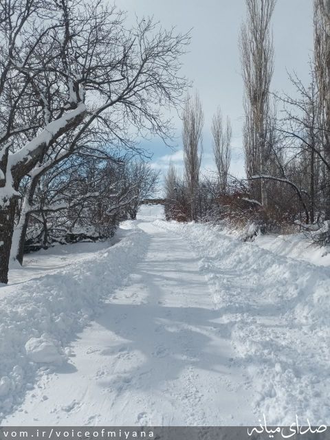 تصویر صدای میانه