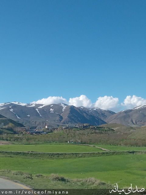 تصویر صدای میانه