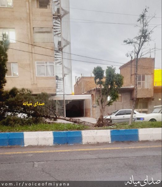تصویر صدای میانه