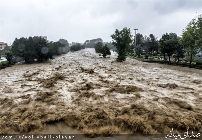 تصویر میلاد حنیفه